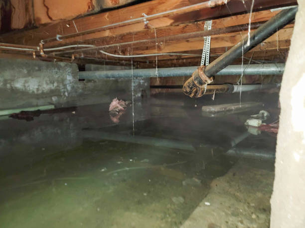 Carpet water damage restoration in Mingo Junction, OH