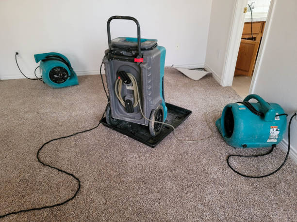  Mingo Junction, OH Water damage restoration Pros