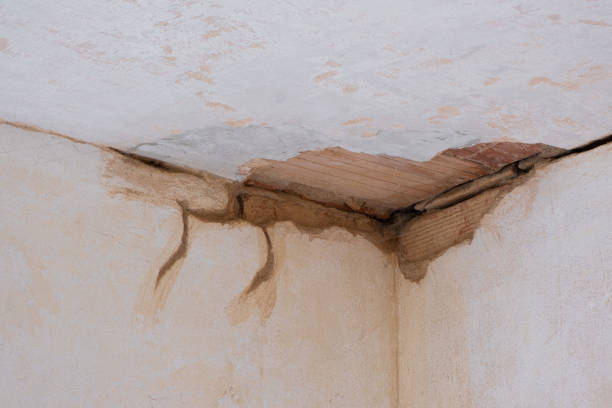 Best Flooded house restoration  in Mingo Junction, OH