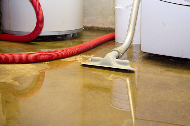 Best Water damage restoration experts  in Mingo Junction, OH