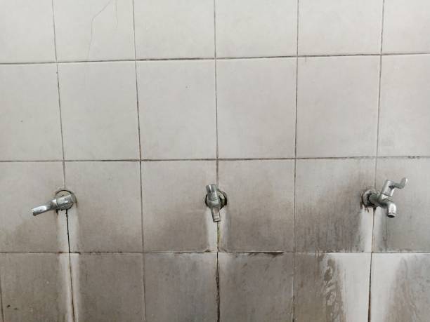 Best Fire Damage Restoration  in Mingo Junction, OH