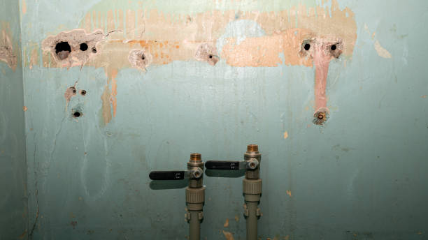 Best Flood damage cleanup  in Mingo Junction, OH