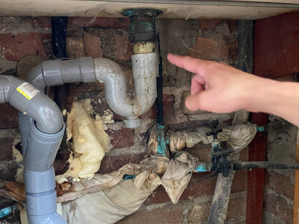 Best Water damage restoration near me  in Mingo Junction, OH