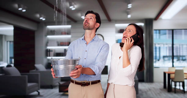 Best 24/7 water damage repair  in Mingo Junction, OH